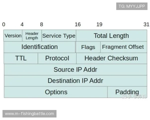 加密传输协议在当前周期内得到强化 防止了赛事信号在传输中被截取