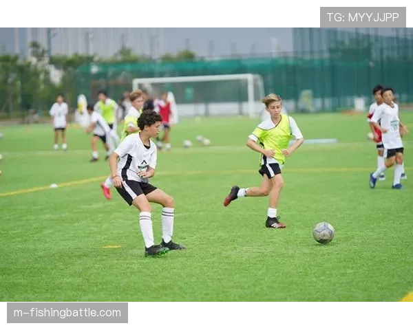 德甲青训学院参观记：年轻球员培养体系揭秘